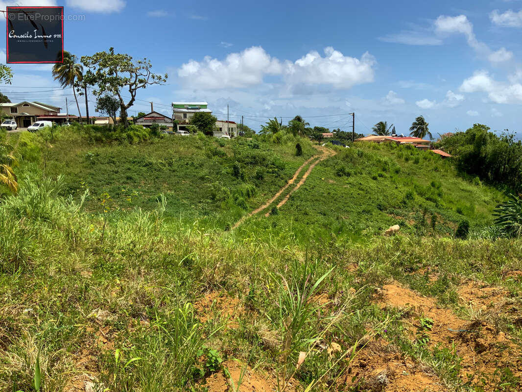 Terrain à SAINTE-MARIE