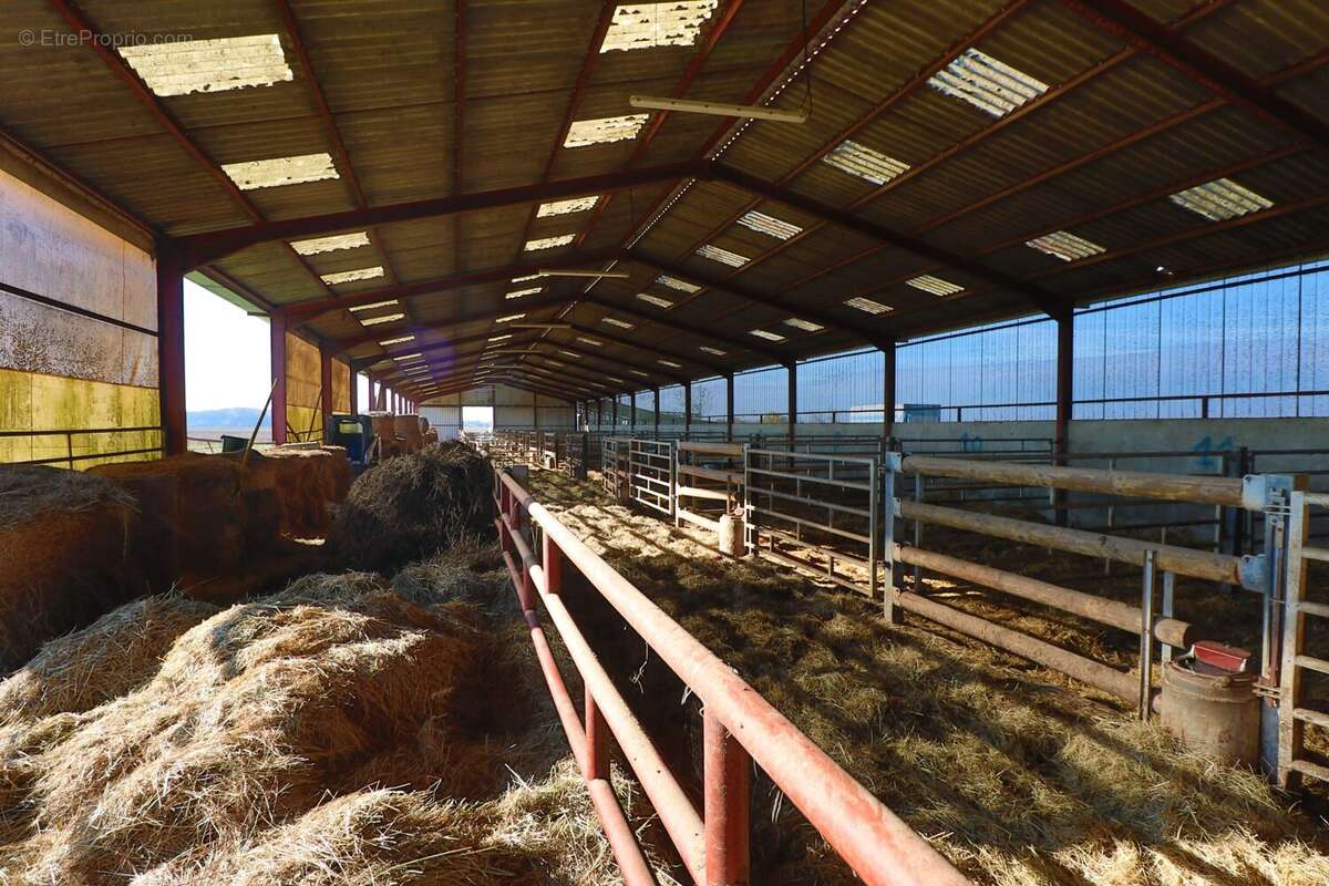 Commerce à SAINT-JEAN-DE-LOSNE