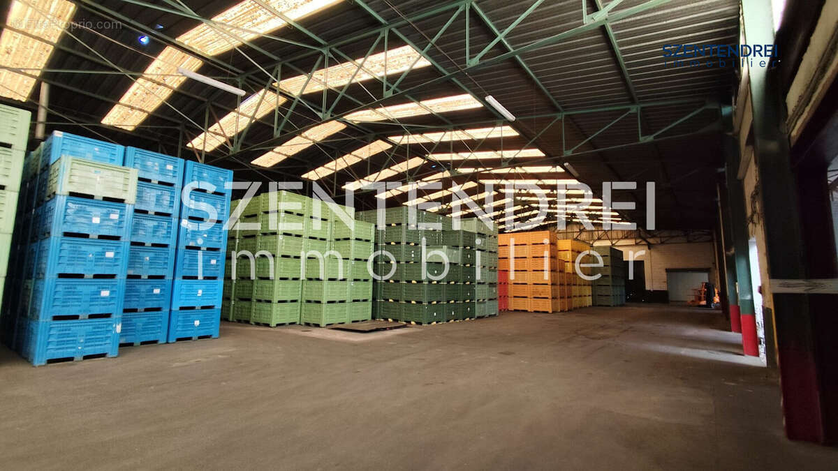 Vente - Entrepôts - Pont Saint Esprit - Szentendrei Immobilier - Commerce à PONT-SAINT-ESPRIT