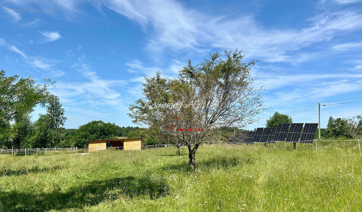 Propriété équestre exceptionnelle avec 5 chambres, piscine chauffée et plus de 6 hectares de terrain - photo 42