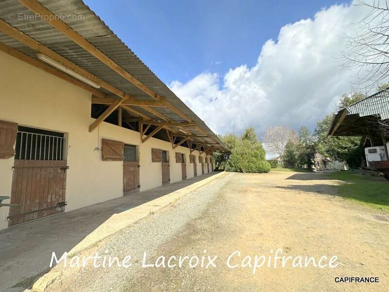 Dpt SARTHE (72), à vendre LA FERTÉ-BERNARD - PROPRIÉTÉ  P5 de 100 m² - Terrain de 10 Ha - photo 4