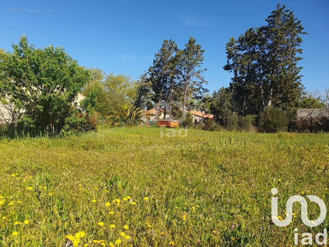 Photo 2 - Terrain à CANET