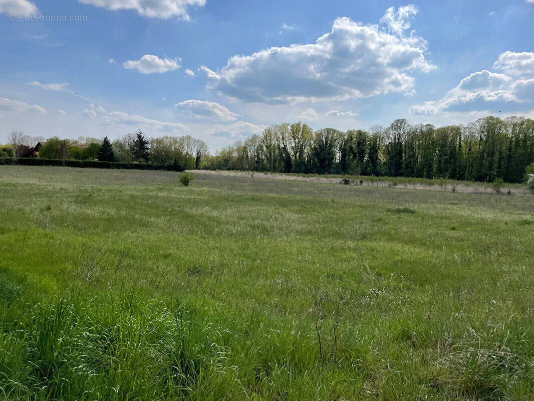 Terrain à NOGENT-LE-ROI