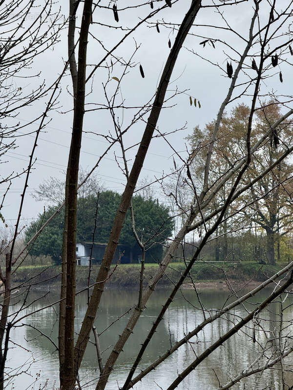 Terrain à SAINT-SYMPHORIEN-D&#039;ANCELLES