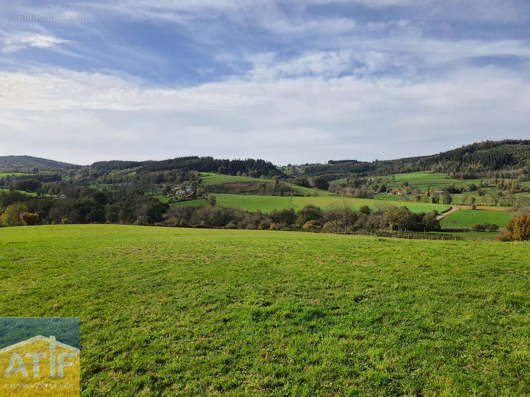 Terrain à NOIRETABLE