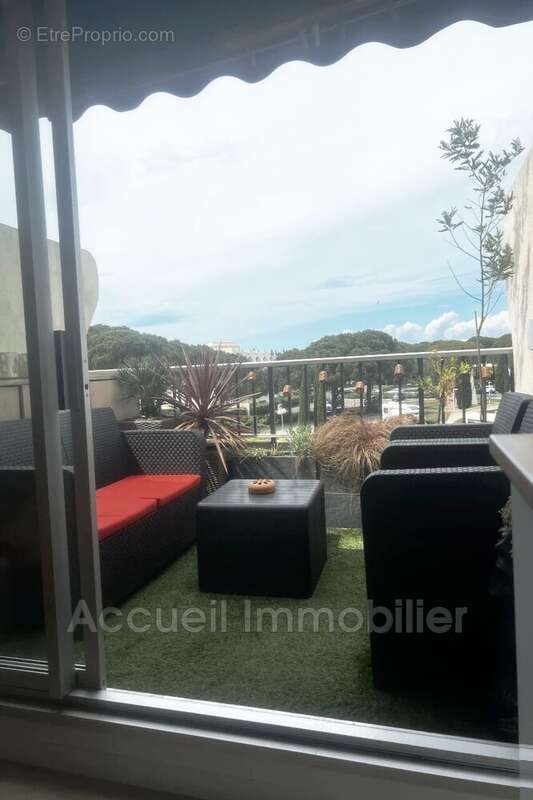 Appartement 20 m² à Le Grau-Du-Roi  - photo 2