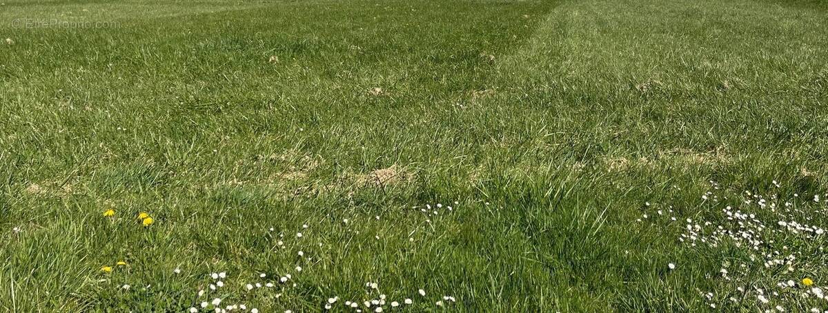 Terrain à AUTHON-EBEON