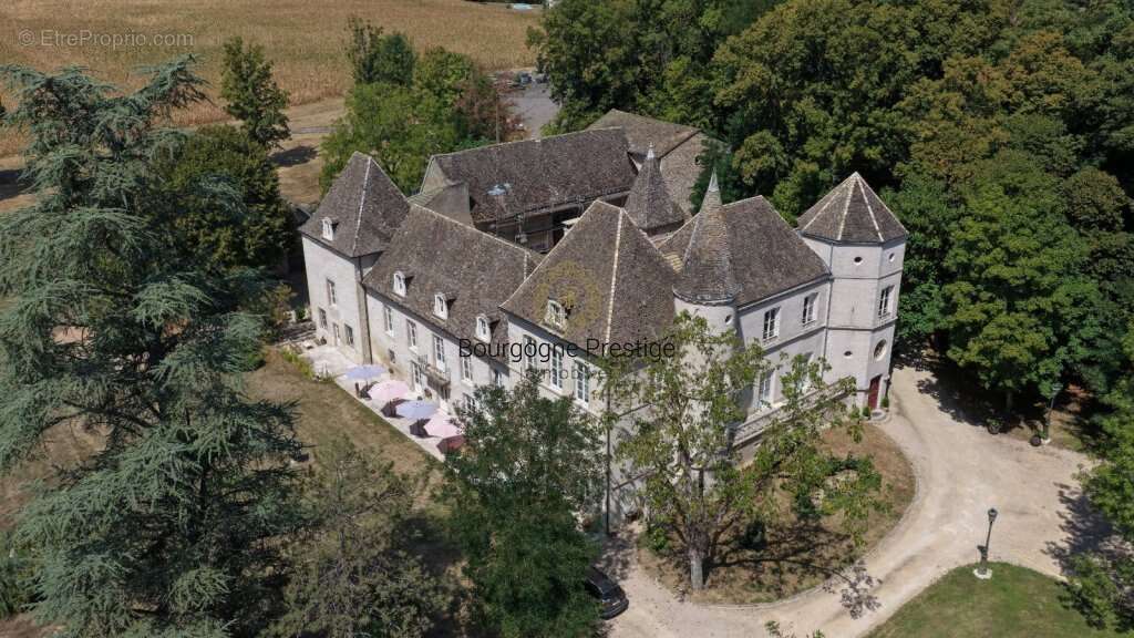 Chateau de caractere aux racines medievales entre patrimoine et art de vivre bourguignon - photo 25