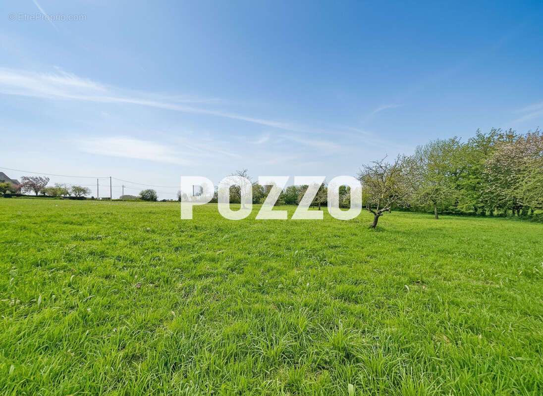 Maison à LINGREVILLE