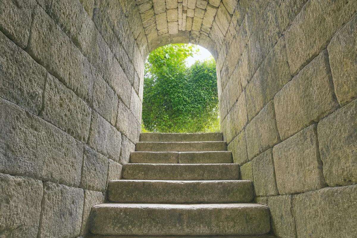 Ancien château de 7 pièces de 400 m² à Saint-Savinien - photo 6