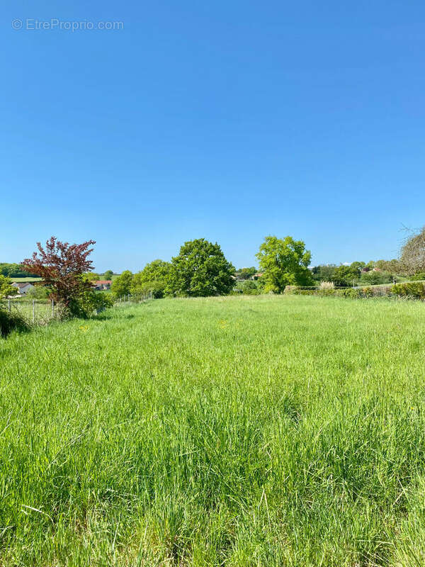 Maison à SANVIGNES-LES-MINES