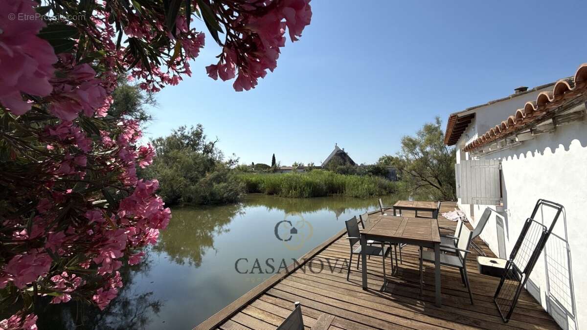La presqu'île Camarguaise - photo 3
