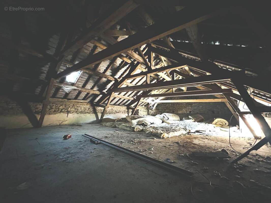 Maison à SAINT-THURIAL