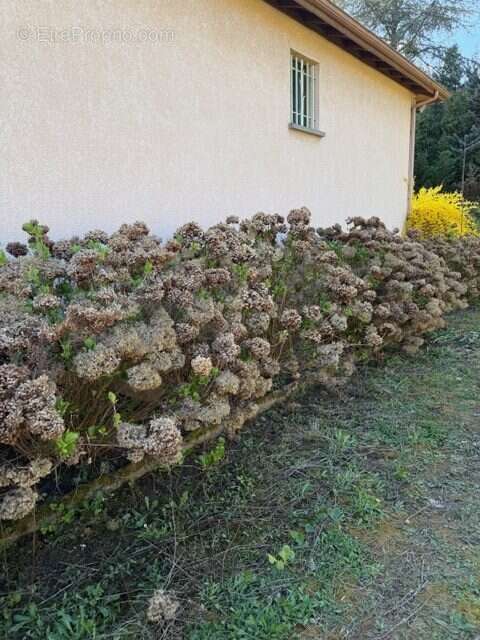 Maison à COLLONGES-AU-MONT-D'OR