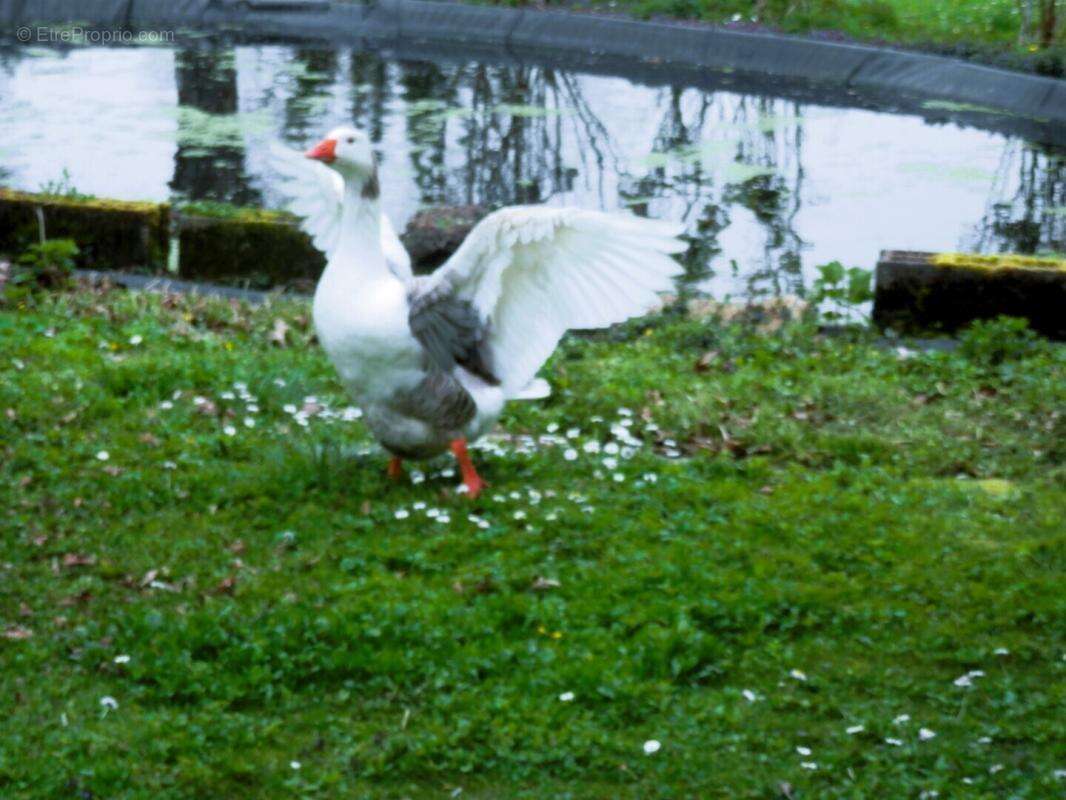 Maison à GRANDVILLIERS