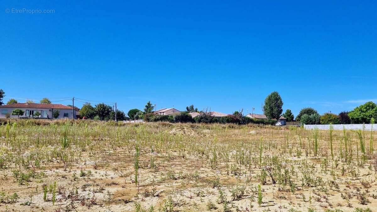Terrain 715 m² à Savenes  - photo 3