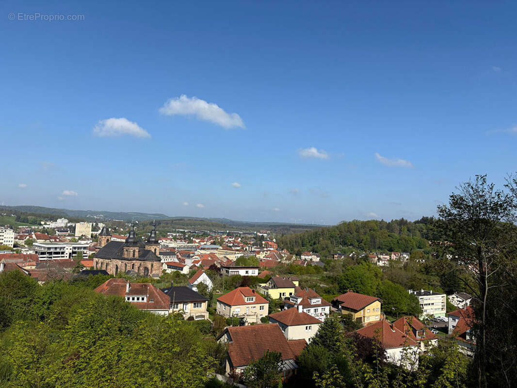 Terrain Saint Avold 3801 m2 - photo 4