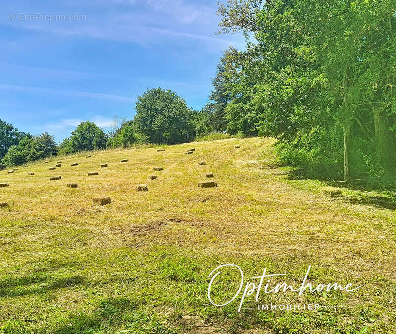 Terrain de 2 606 m² avec vue campagne à 10 min de Bon-Encontre - photo 2