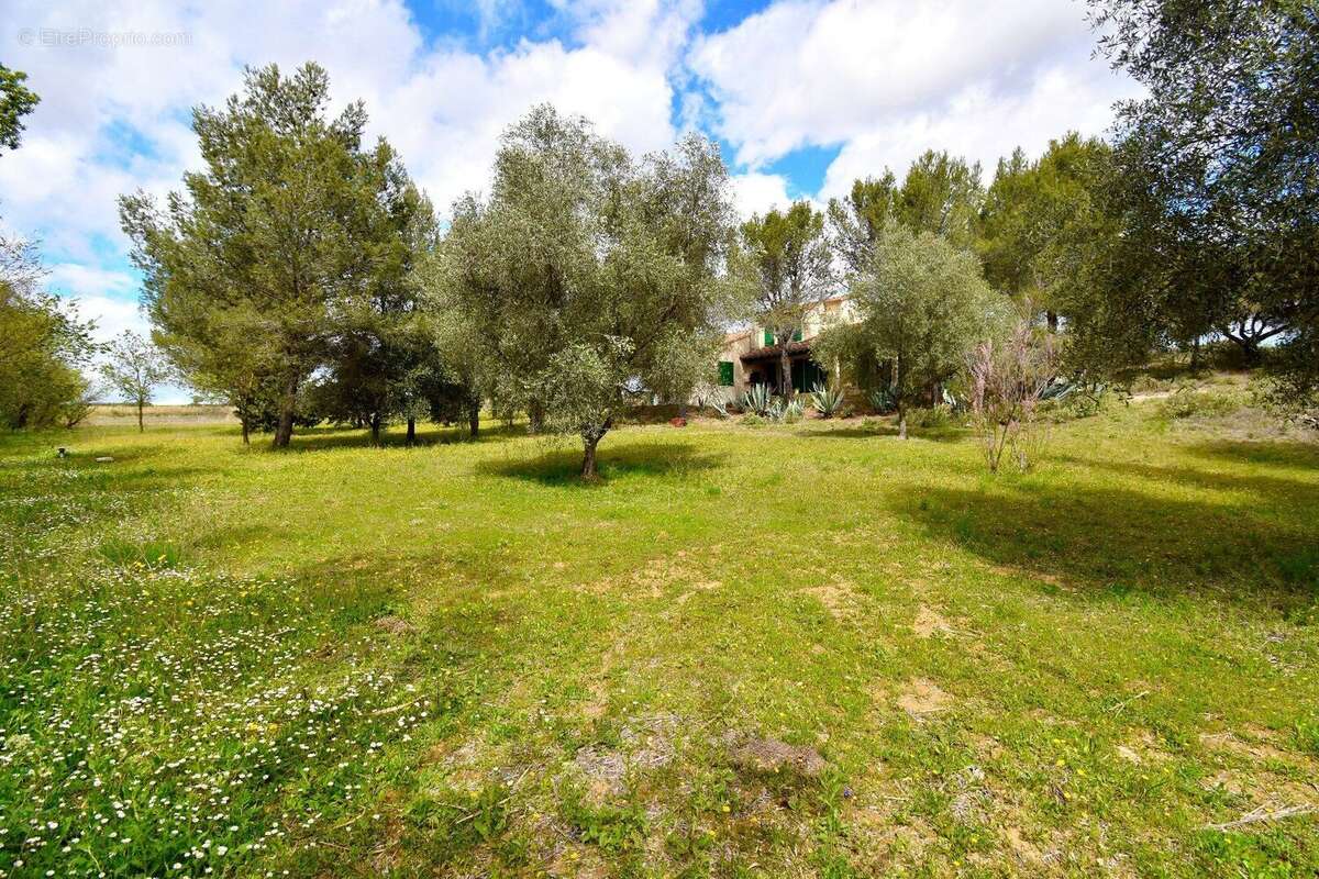 Photo 6 - Maison à MEZE