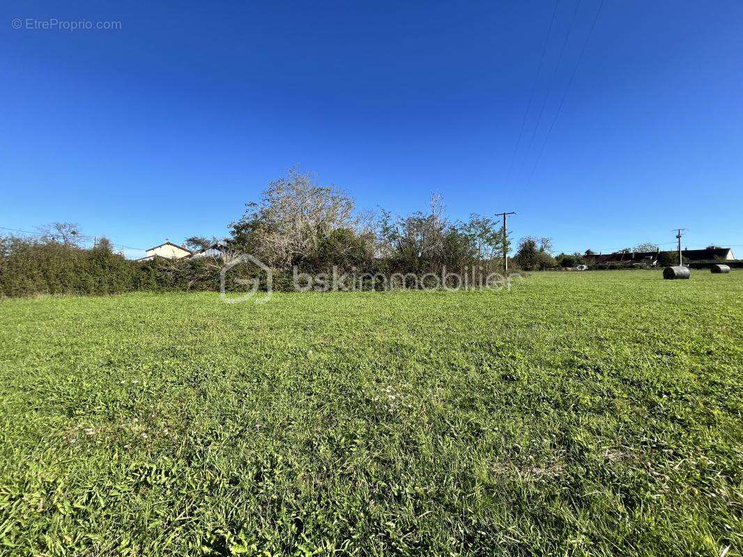 Terrain à JUSSY-LE-CHAUDRIER