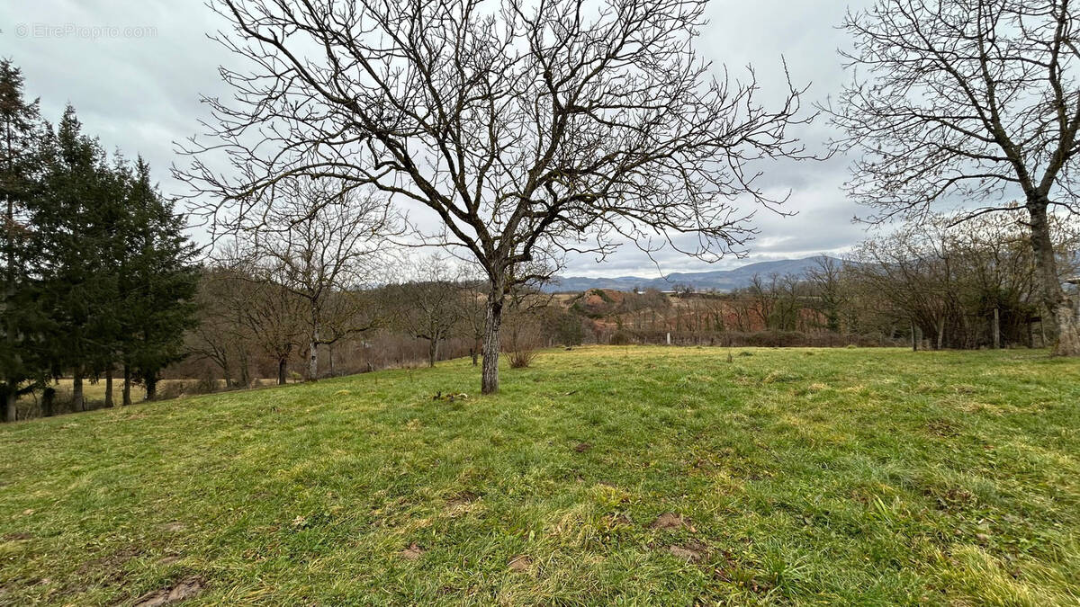 Terrain à SERMENTIZON