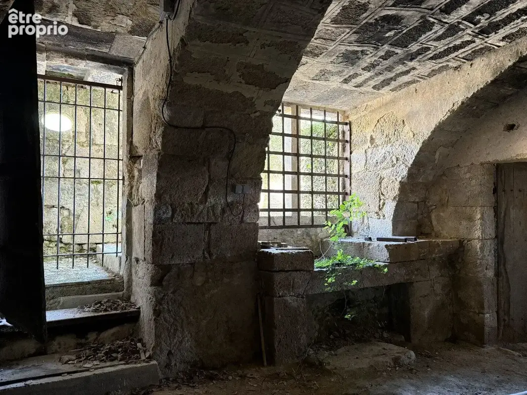 Château historique sur 19,5 hectares - photo 5