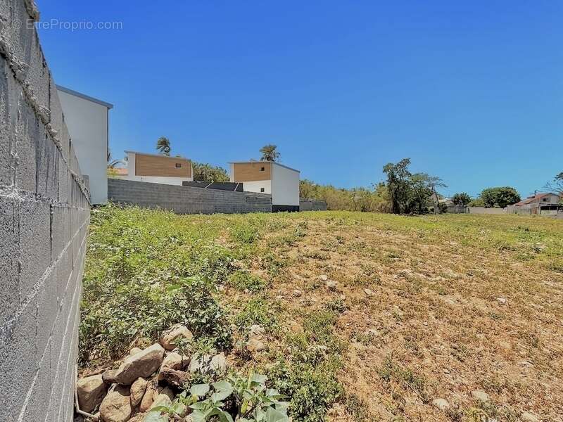 Terrain à SAINT-LOUIS