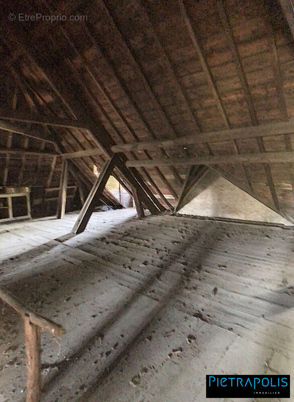 Appartement à SAINT-GEORGES-DE-RENEINS