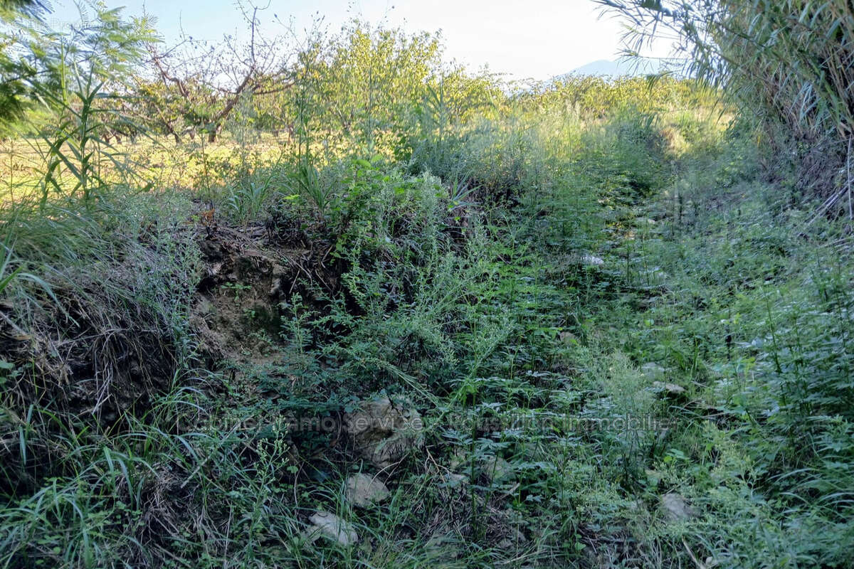Terrain à CERET