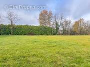 Terrain à MONTAGRIER