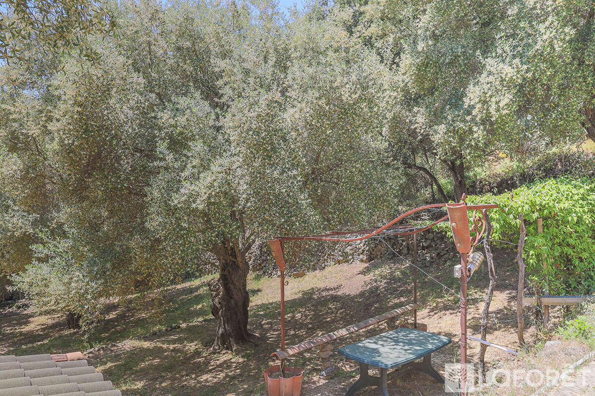Maison à ZILIA