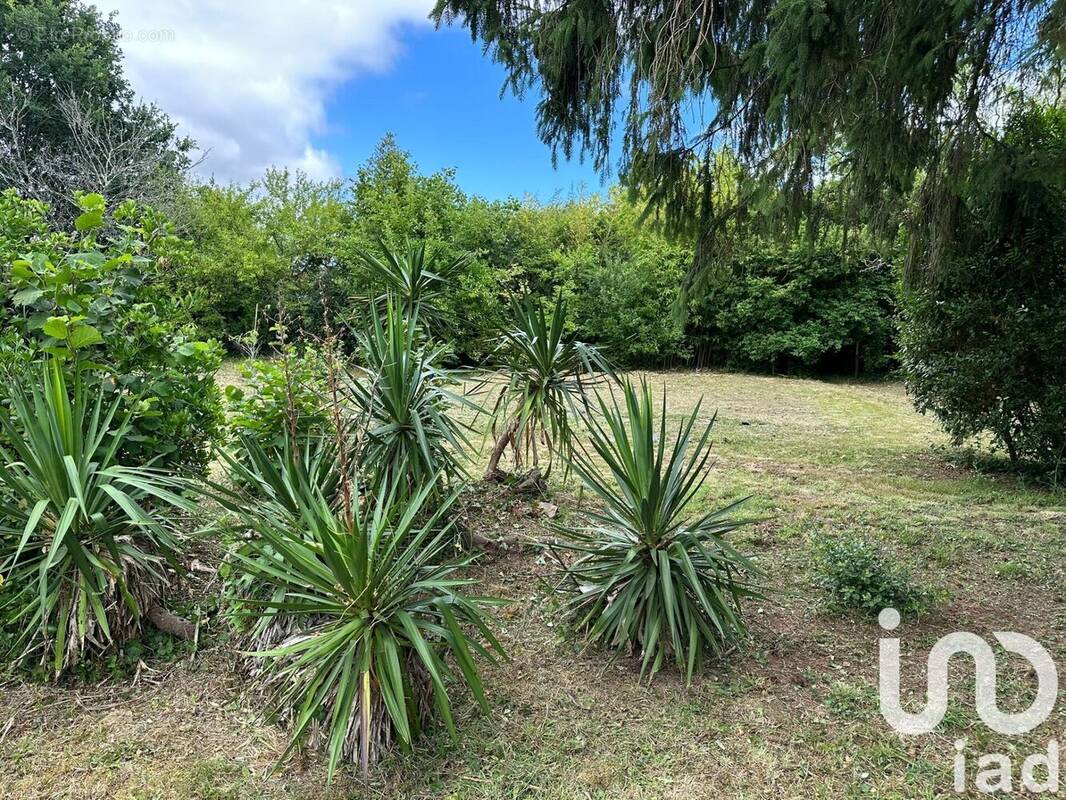 Photo 1 - Maison à LA CHAPELLE-HEULIN