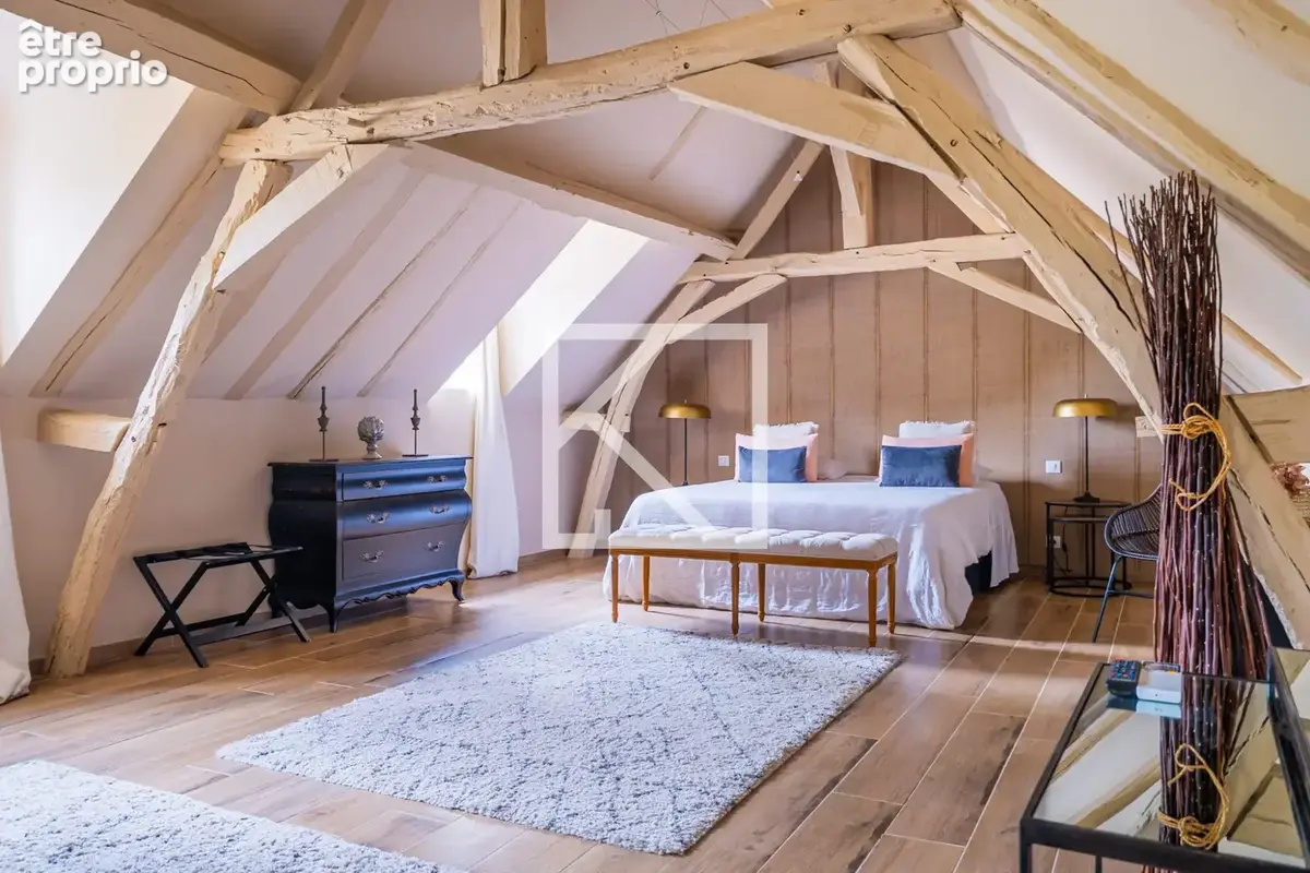 Maison 12 pièces 580 m² à vendre à Neuvy-Le-Roi (37370) - photo 8