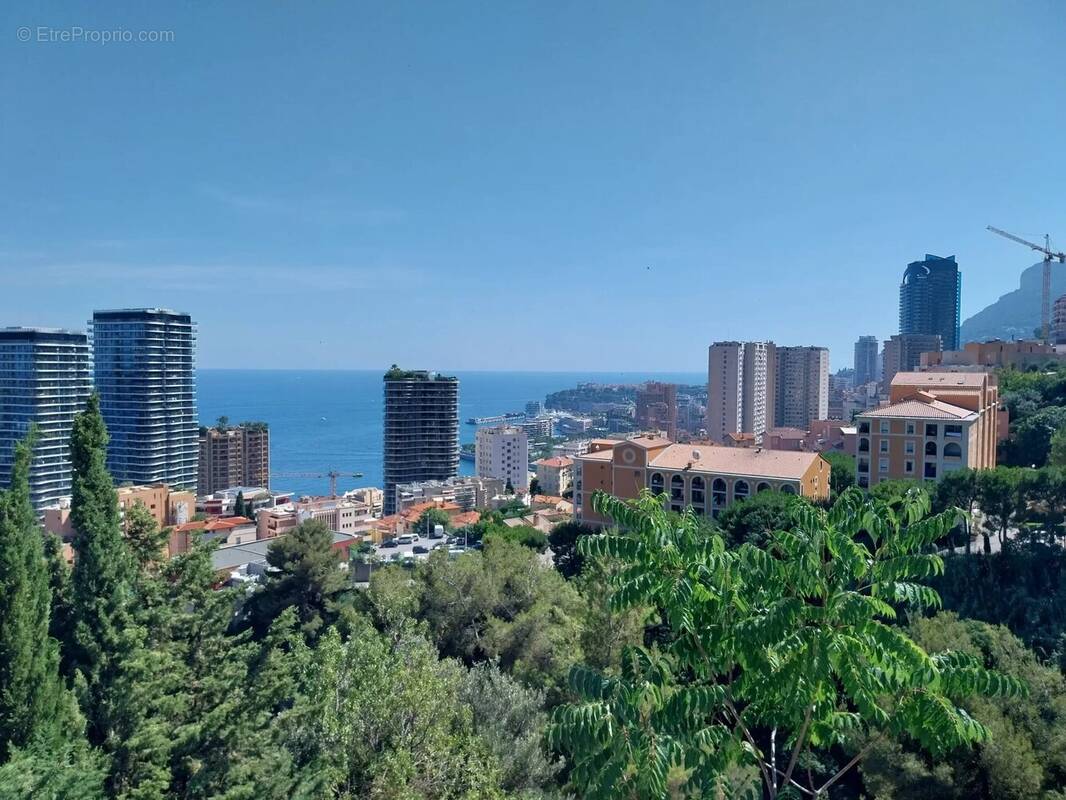 Appartement à ROQUEBRUNE-CAP-MARTIN