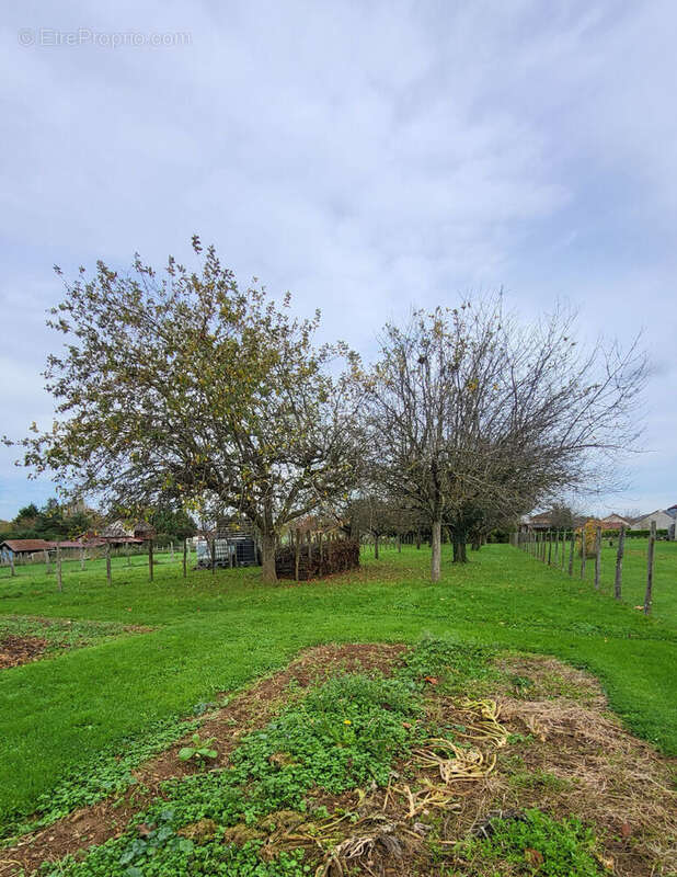 Maison à CHAMPAGNAT