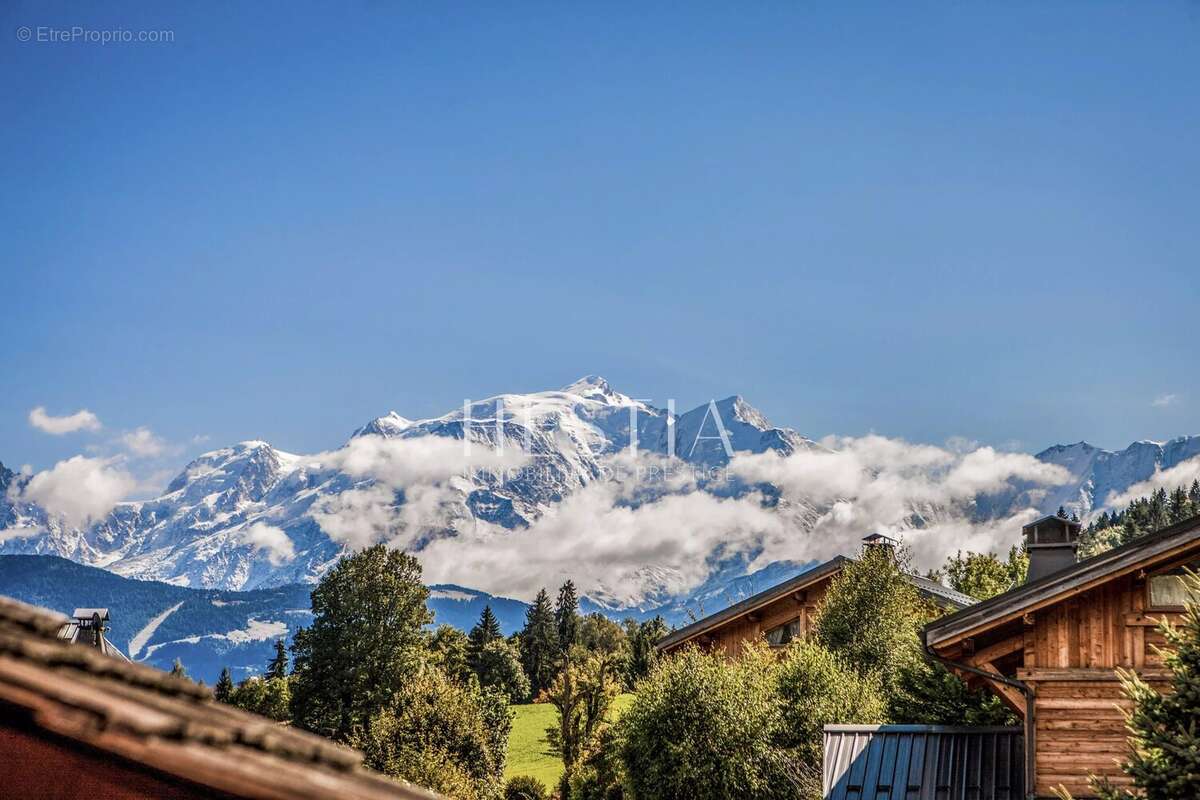 Commerce à COMBLOUX