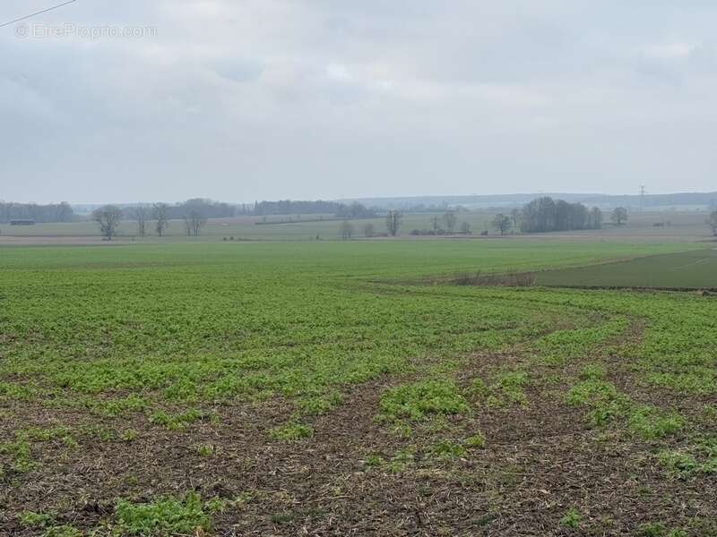Terrain à GRISY-LES-PLATRES