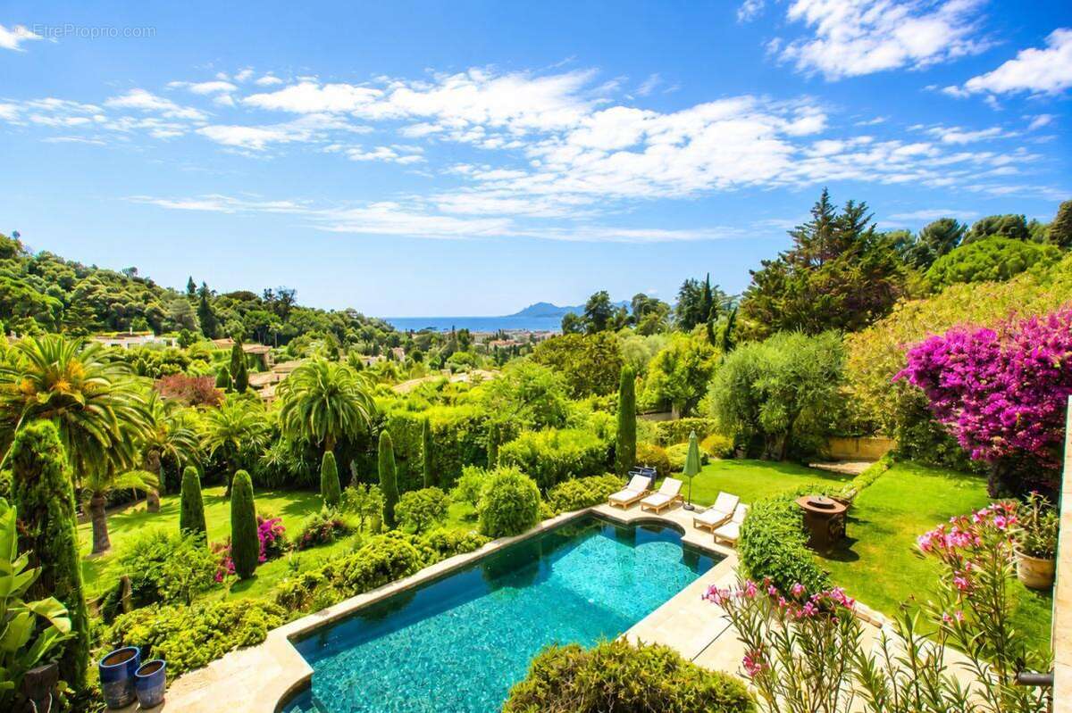 Exceptionnel ! superbe maison vue mer panoramique. cannes basse californie - photo 5