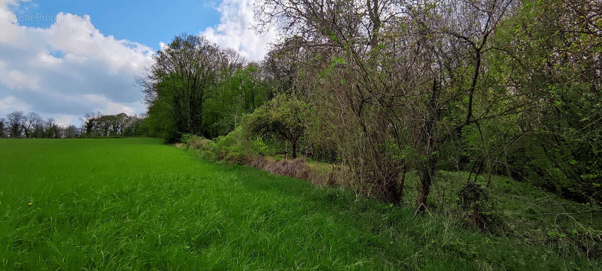 Terrain à BELLE-EGLISE