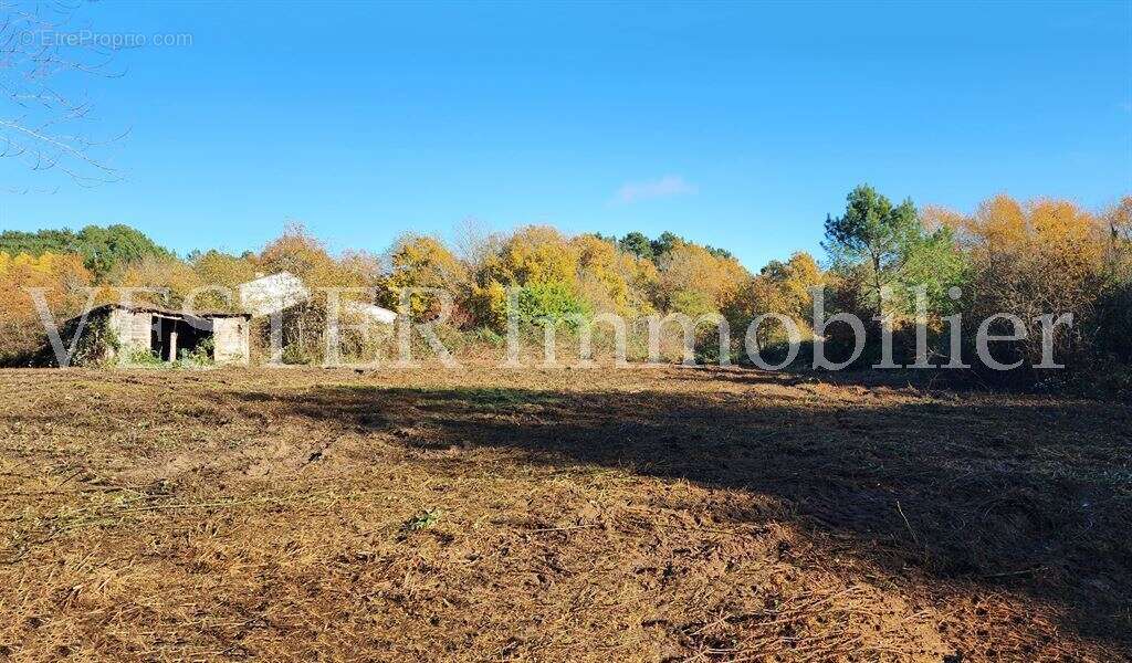 Maison à SAINT-LAURENT-DES-HOMMES