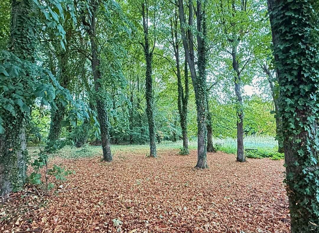 Appartement à CAMBRAI