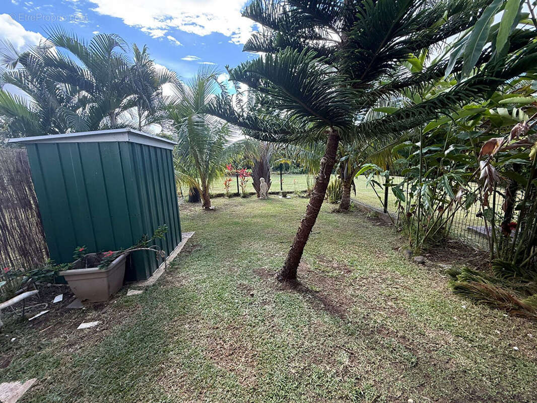 Appartement à SCHOELCHER