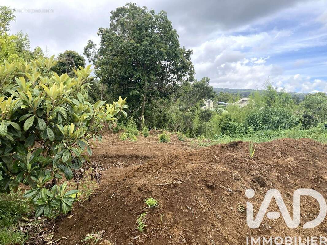 Photo 5 - Terrain à SAINT-PAUL