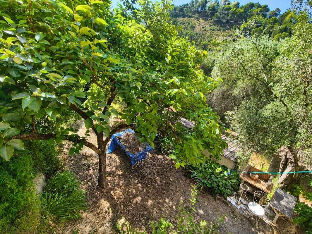 Tourrette-levens – maison à rénover dans un écrin de verdure - photo 19