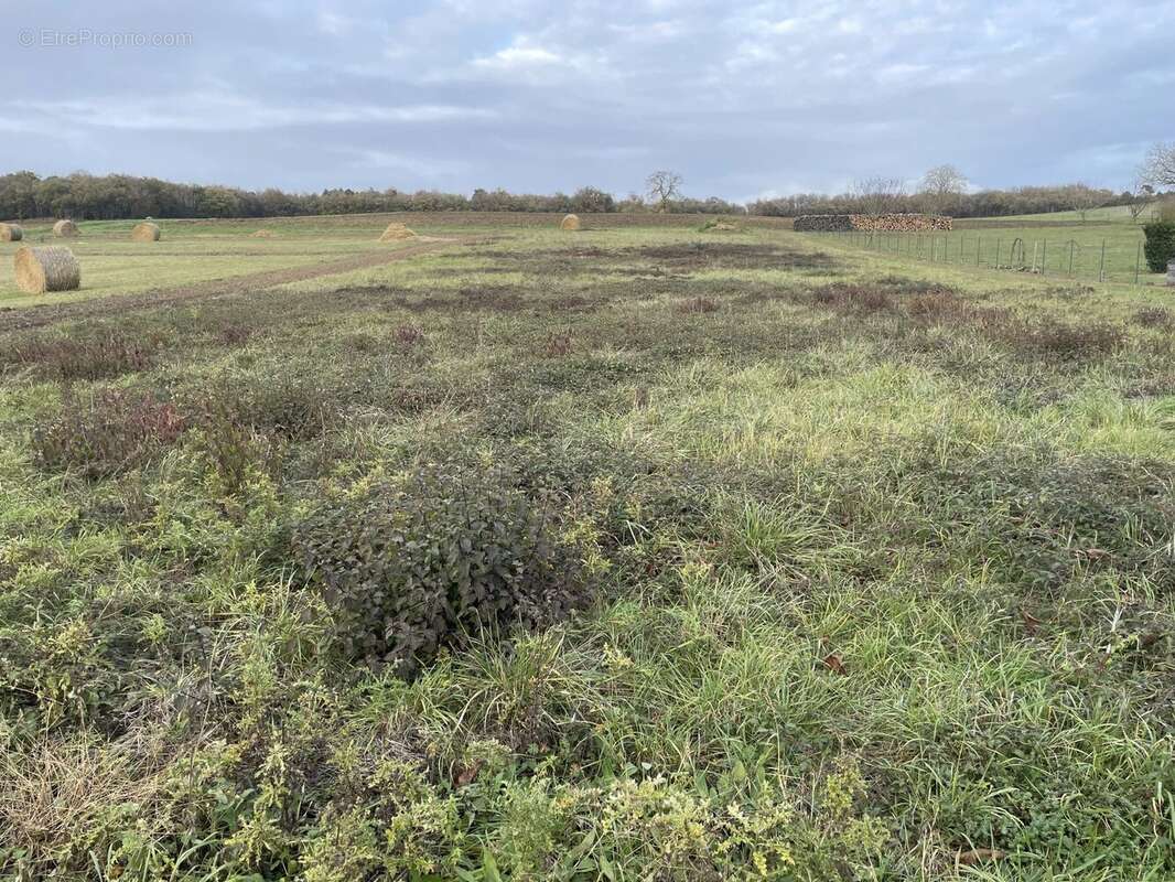 Terrain à LERNE