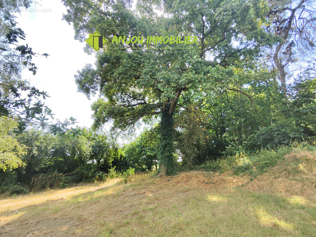 Longère en pierre apparente à Bouchamps-Les-Craon. - photo 16