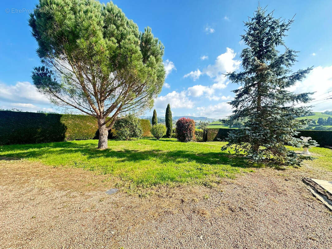 Photo 4 - Maison à AMPLEPUIS