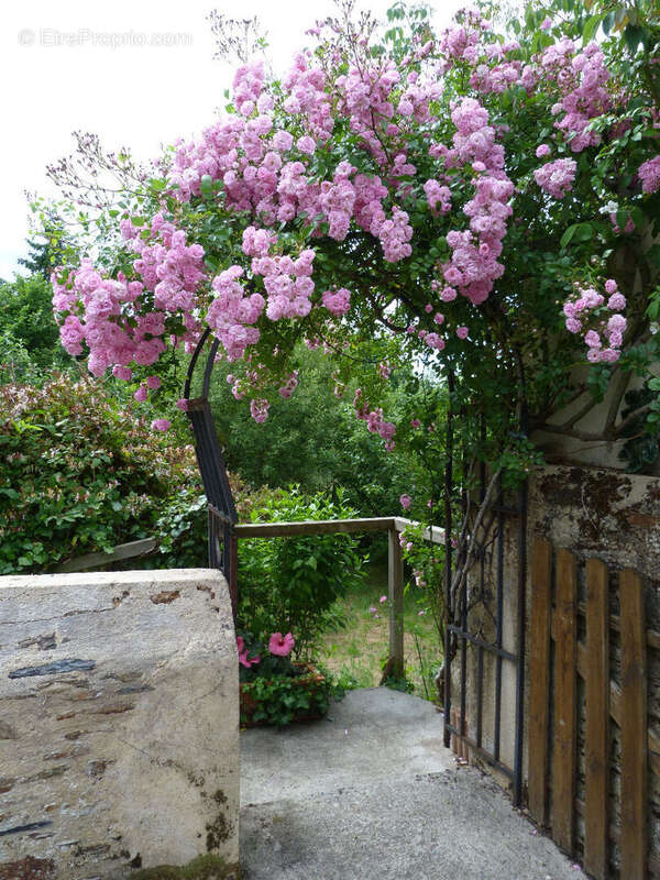 Maison à POUANCE