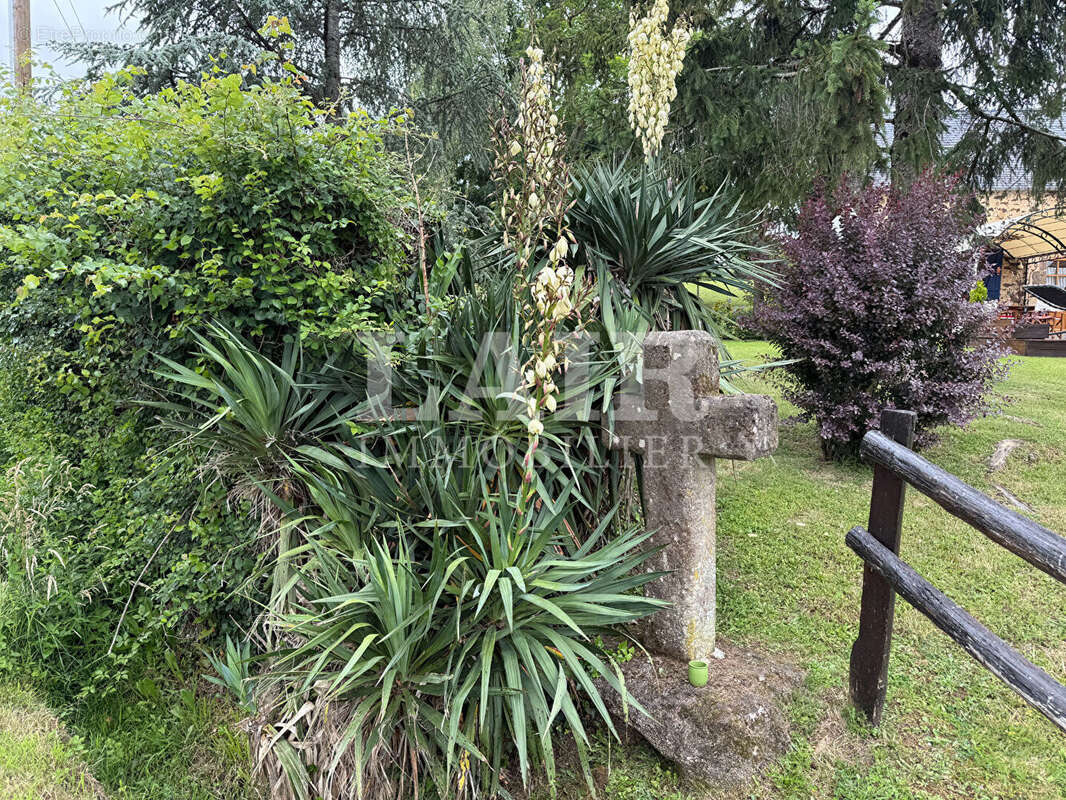 Propriété de charme au coeur d'un parc arboré sans vis-à-vis  réf: F15453 - photo 15
