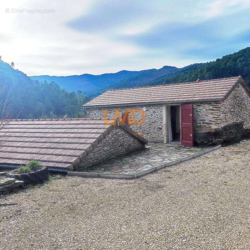 Mas en Cévennes - photo 15